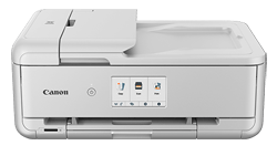 Canon PIXMA TS9521C PGI-280 and CLI-281 Cartridges